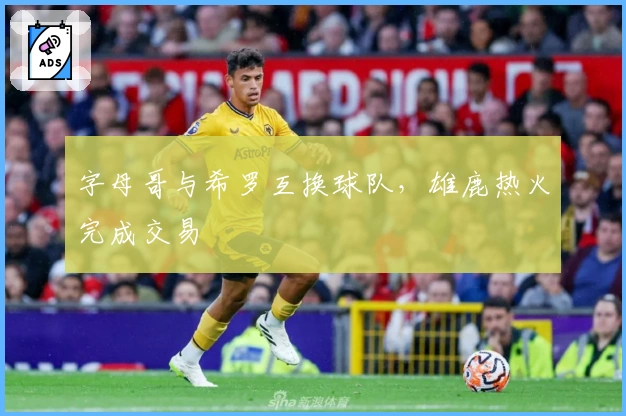 字母哥与希罗互换球队，雄鹿热火完成交易
