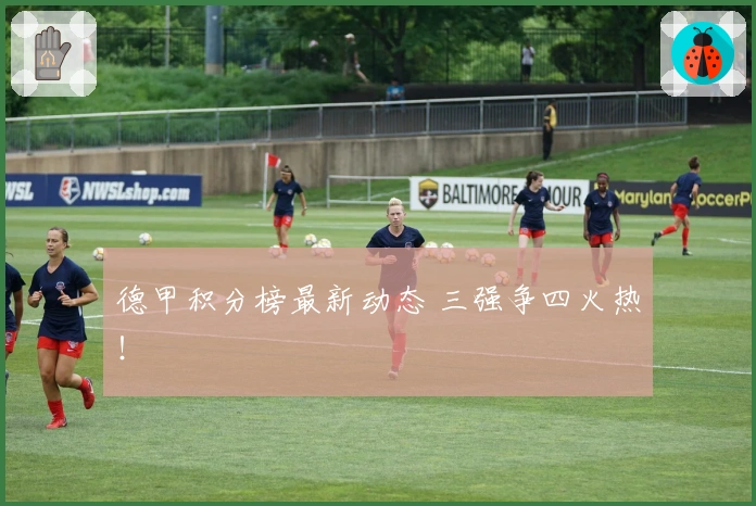 德甲积分榜最新动态 三强争四火热！